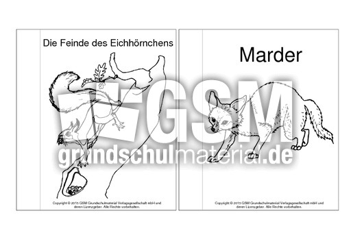 Mini-Buch-Ausmalbilder-Feinde-Eichhörnchen.pdf